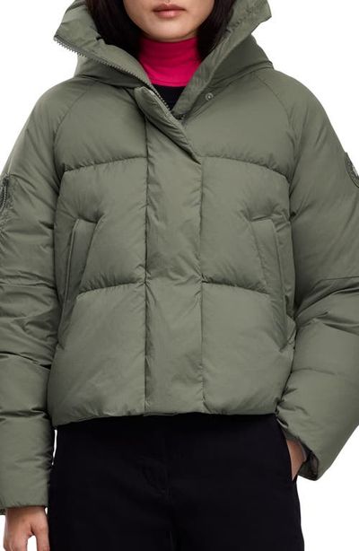 Canada Goose Canada Goose Chilliwack 750 Fill Power Down Puffer Jacket