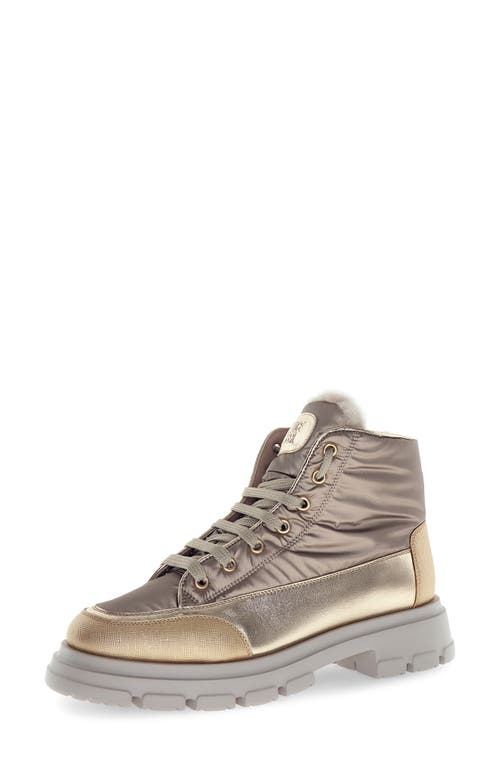 Candice Cooper Candice Cooper Chado Genuine Shearling Lined Hiking Boot