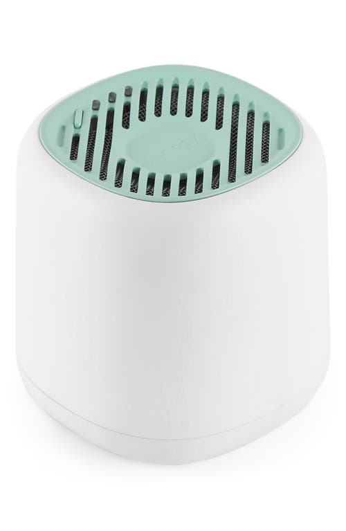 Diffuser Canopy CANOPY - Waterless Diffuser