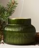 Capri Blue Woody Fir & Firewood Glass Candle - 1
