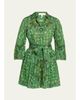 Cara Cara Raya Mini Shirtdress - 1