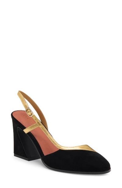 Cecelia New York Cecelia New York Sophia Slingback Pump