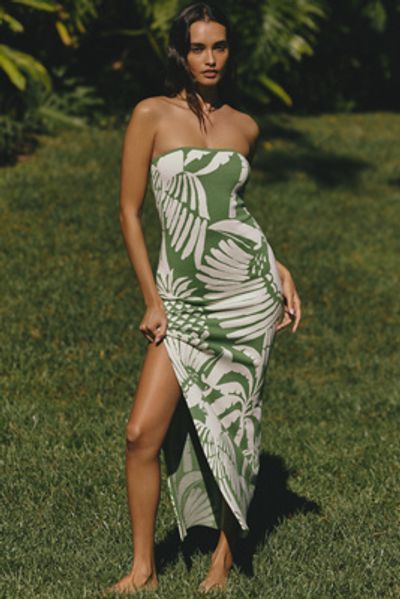 Celandine Knit Strapless Dress