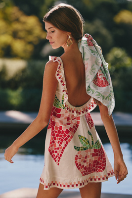 Celandine - Strawberry Embroidered Open-Back Mini Dress