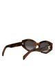 Celine Celine Triomphe Havana Oval Sunglasses, 55mm - 5