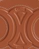 celine Celine Triomphe Small Oval Crossbody Bag - 5