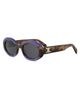 CELINE Women's TRIOMPHE 50MM Logo Oval sunglasses - 9