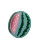 Centinelle Centinelle Watermelon Hair Claw - 1