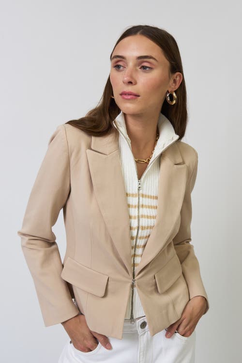 Central Park West Central Park West Chloe Nautical Stripe Sweater Dickey Jacket