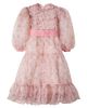 C'era Una Volta C'era Una Volta Milie embroidered tiered tulle dress - 1