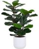 CG Hunter CG Hunter 3 ft Faux Potted Fiddle Leaf Fig Tree - 1