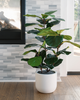 CG Hunter CG Hunter 3 ft Faux Potted Fiddle Leaf Fig Tree - 2