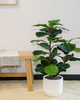 CG Hunter CG Hunter 3 ft Faux Potted Fiddle Leaf Fig Tree - 4