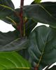 CG Hunter CG Hunter 3 ft Faux Potted Fiddle Leaf Fig Tree - 5