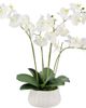 CG Hunter CG Hunter Artificial 4-Stem Phalaenopsis White Orchid  - 1