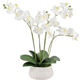 CG Hunter CG Hunter Artificial 4-Stem Phalaenopsis White Orchid 