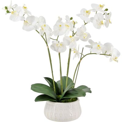 CG Hunter CG Hunter Artificial 4-Stem Phalaenopsis White Orchid 