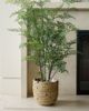 CG Hunter CG Hunter Faux Maidenhair Fern - 5