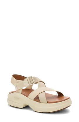 Chaco Chaco Cushform Sport Sandal
