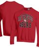 Champion Men's Champion Scarlet San Francisco 49ers Powerblend Fleece Sweatshirt  - 1