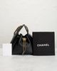 chanel Chanel Caviar Small 25 Hobo Bag - 9