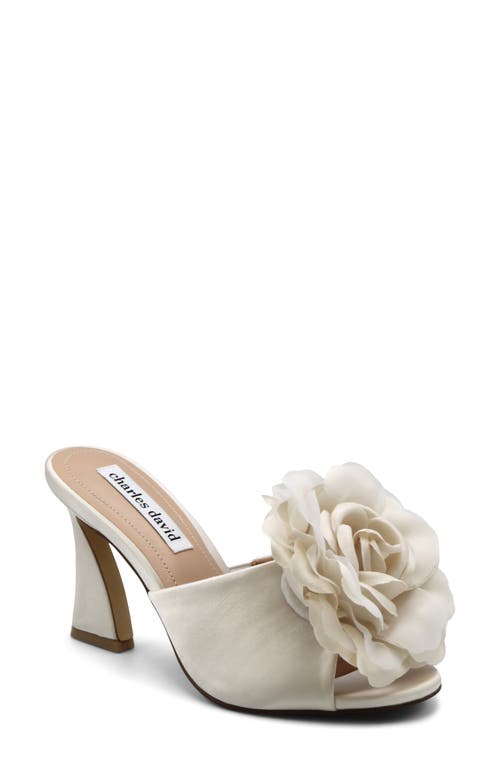 Charles David Charles David Karaoke Slide Sandal