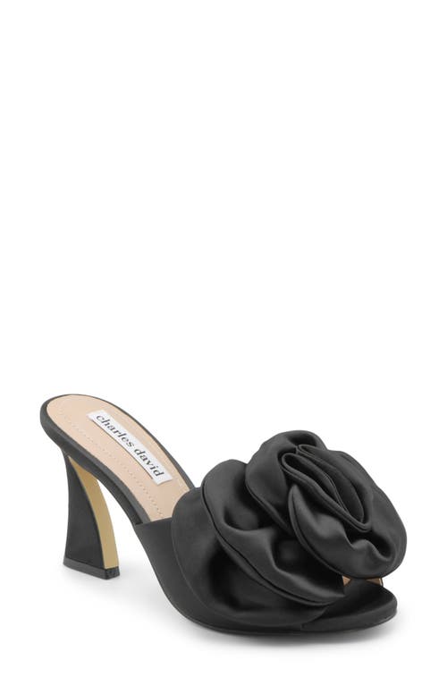 Charles David Charles David Kimchi Slide Sandal