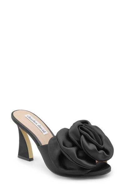 Charles David Charles David Kimchi Slide Sandal