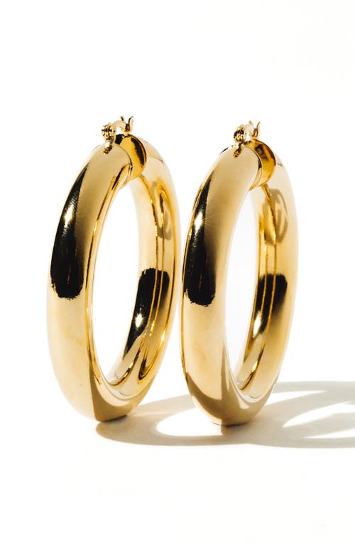 Child of Wild Child of Wild Aubree Large Tube Hoop Earrings