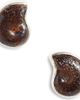 Child of Wild Child of Wild Eternal Ammonite Stud Earrings - 1