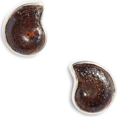 Child of Wild Child of Wild Eternal Ammonite Stud Earrings