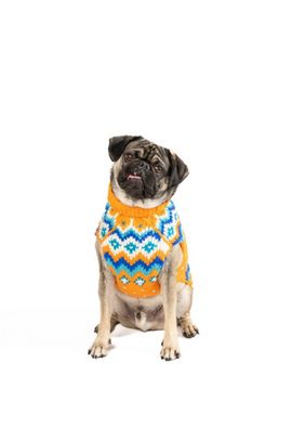 Chilly Dog Chilly Dog Artic Amber Fair Isle Dog Sweater