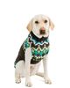 Chilly Dog Chilly Dog Fairisle Dog Sweater - 1