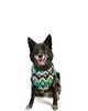 Chilly Dog Chilly Dog Fairisle Dog Sweater - 2
