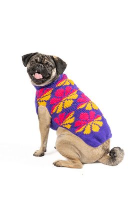 Chilly Dog Chilly Dog Flower Power Dog Sweater