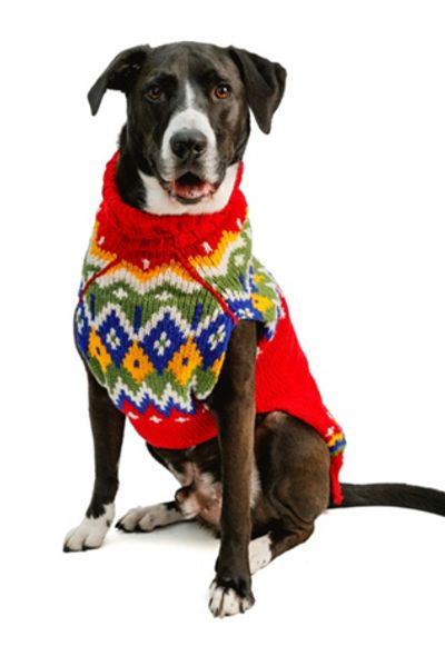 Chilly Dog Chilly Dog Holiday Fairisle Sweater