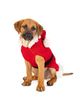 Chilly Dog Chilly Dog Santa Dog Sweater - 3