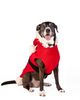 Chilly Dog Chilly Dog Santa Dog Sweater - 4