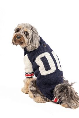 Chilly Dog Chilly Dog Varsity Dog Sweater