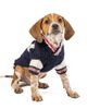 Chilly Dog Chilly Dog Varsity Dog Sweater - 2