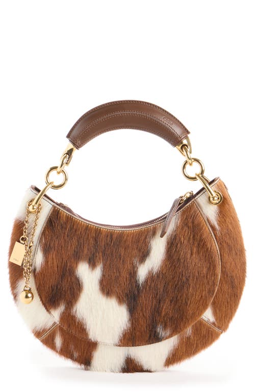 Chloé Chloé Banana Genuine Calf Hair Hobo Bag