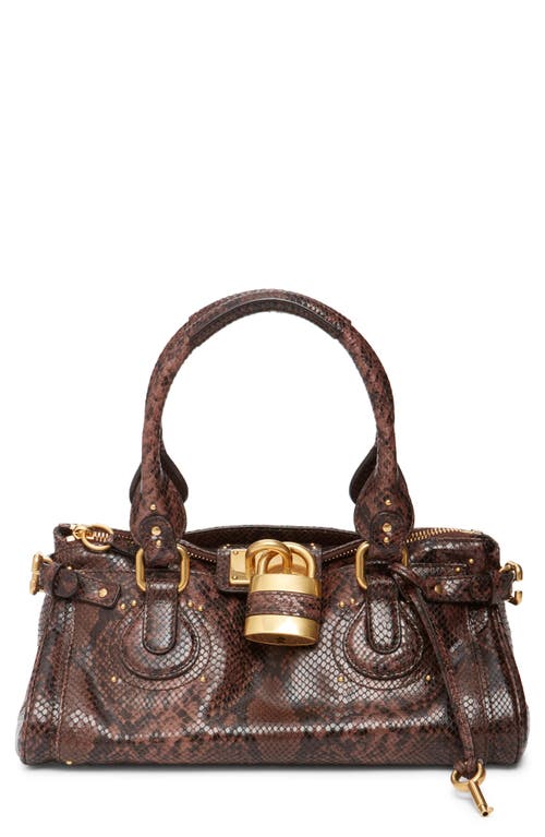 Chloé Chloé Paddington Python Print Shoulder Bag