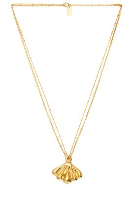 Chloe Chloe Seashell Necklace