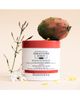 Christophe Robin Christophe Robin Regenerating Mask With Rare Prickly Pear Seed Oil - 2
