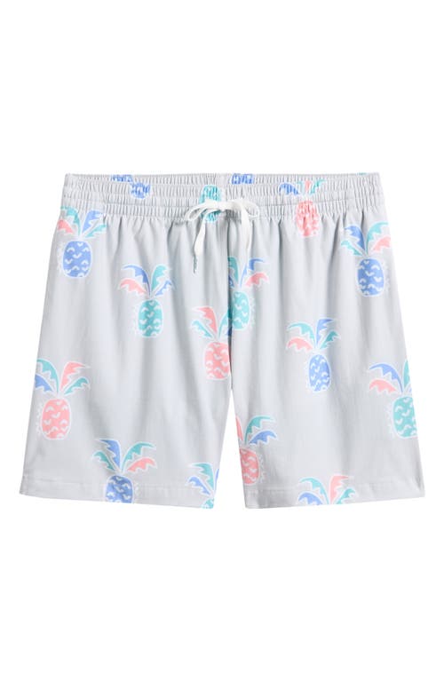Chubbies Chubbies Prickle Down Economics Swim Trunks