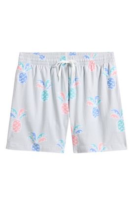 Chubbies Chubbies Prickle Down Economics Swim Trunks