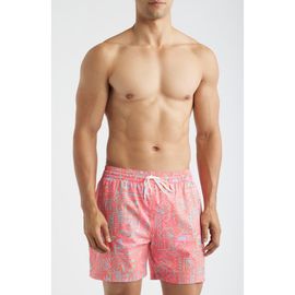 Chubbies Chubbies Pyramid Poolside Lined 5.5-Inch Swim Trunks