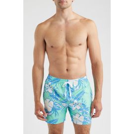 Chubbies Chubbies The Baja Breezies 5.5 Classic Lined Swim Trunks