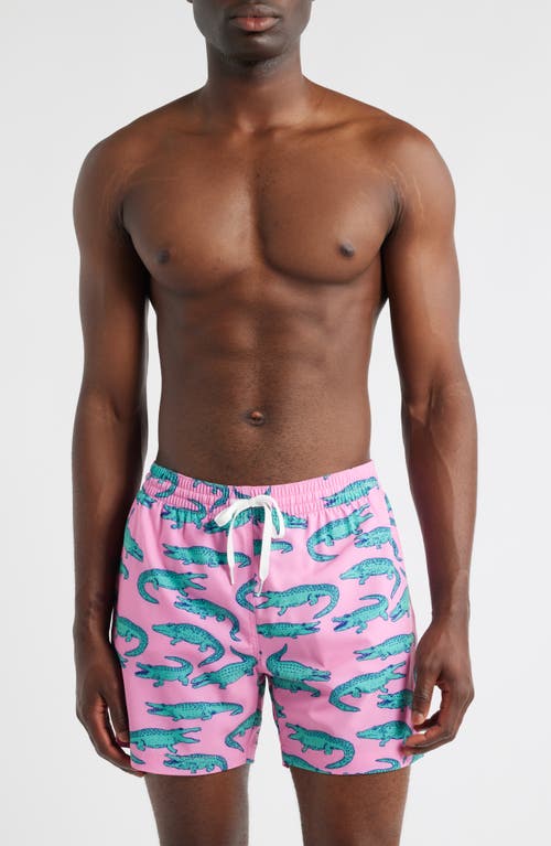 Chubbies Chubbies The Glades Lined 5.5-Inch Swim Trunks