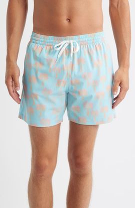 Chubbies Chubbies The Grooves 5.5-Inch Swim Trunks
